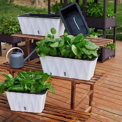 China 2022 Wholesale Minimalist China Supplier Plastic Seedling Flower Planters Pots for sale