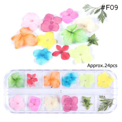 China New Arrival Colorful Popular Nail Decoration 3d Flower Eco - Friendly With Low Price for sale