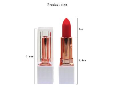 China Waterproof Lipstick Logo Make Own Brand Custom Velvet Matte Lipstick Waterproof Long Lasting Wholesale 9 Color for sale