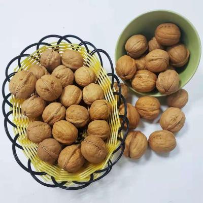 China INSHELL DRY NUTS for sale