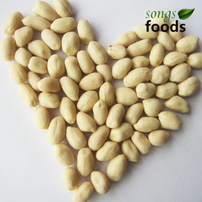 China New Culture 100% Dry Raw Blanched Peanut Kernel With Lowest Price for sale