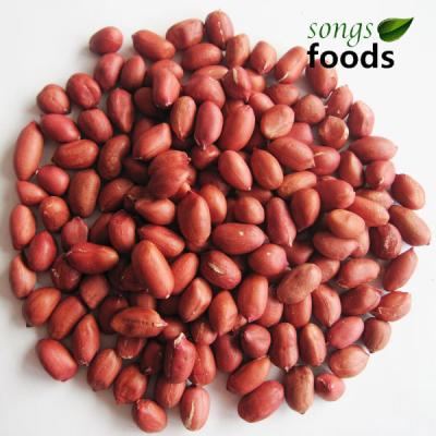 China Four Wholesale Fresh 100% Raw Red Skin Peanut Kernels for sale