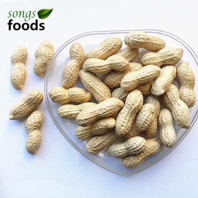 China Inshell Fresh Chinese 100% Raw Processing Peanuts for sale