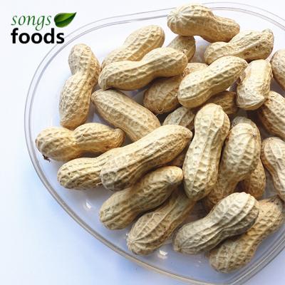 China Dry 2018 Culture Bulk Shell Peanuts With Price 1kg for sale