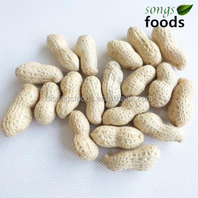 China Valencia Peanut Dry Supplier for sale