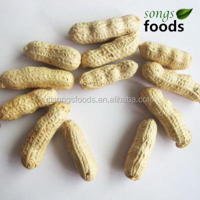 China Raw Shelled Peanuts Chinese Dried Peanuts Prices for sale