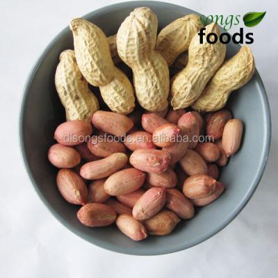 China Dried all kinds of Turkish Peanuts for sale