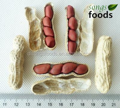 China 2015 Jilin Origin Four Dried Skin Red Peanut Kernels for sale