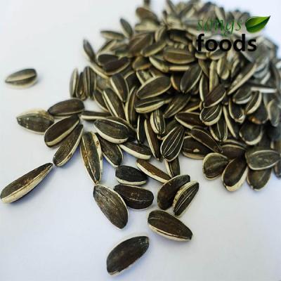 China 361 363 large size dried for human consumption chinese sunflower seeds for sale