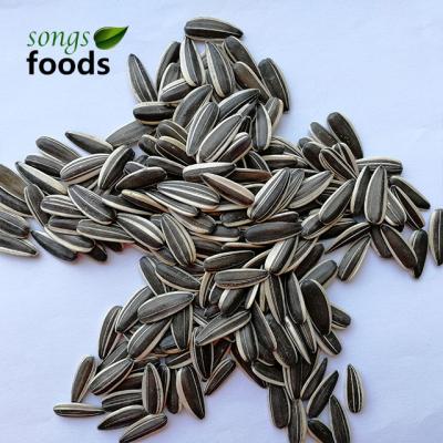 China New crop dry high quality sunflower seeds for sale