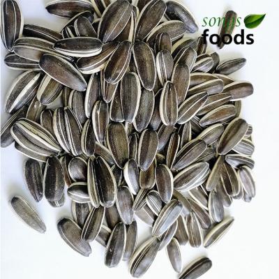 China 100% Organic Dry Raw Sunflower Seed 5009 On Sale for sale