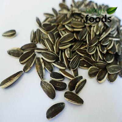 China Confectionery Turkey Dry Foods From High Quality Sunflower Seeds for sale