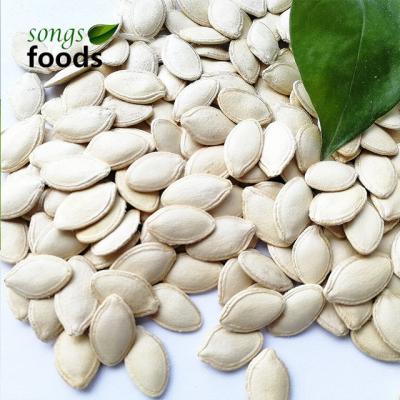 China China Export Dried Pumpkin Seeds Market Price for sale