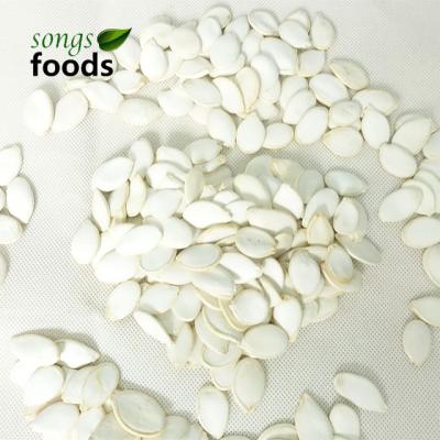 China Premium Quality Dry Edible Squash Seeds With Big Size for sale