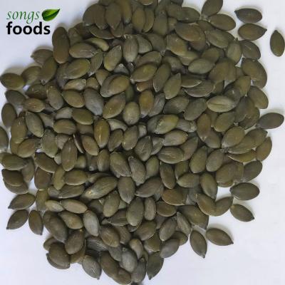 China D.C.A. Grade Pumpkin Seed GWS Kernels Dry Market Price for sale