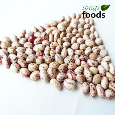 China Different dry types of pulses, kidney agents for sale