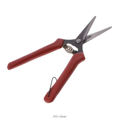 China Long Length Plant Pruning Scissors Garden Cutter Flower Branch Shears Hand Pruner Tool for sale