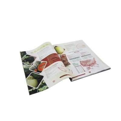 China paper & Cardboard Promotion Clothing Catalog Wholesale High Quality Brochure for sale