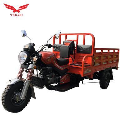 China China Cargo Tricycle 250cc Gasoline Cargo Bike Motorized Tricycles 3 Wheel Gasoline For Adults for sale