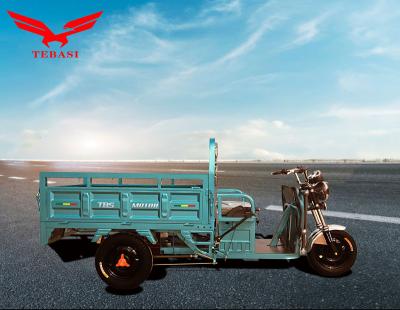 China Best cargo Chongqing MOTOR TBS sells 1000 60V W electric tricycle for adults for max for sale