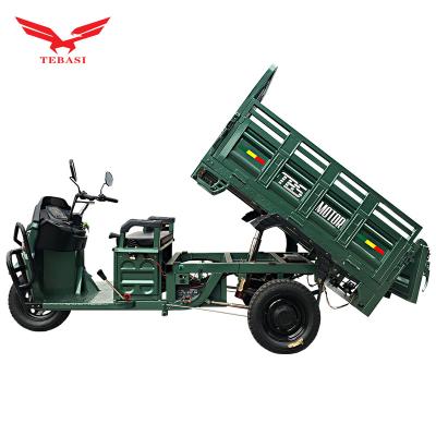 China China ChongQing Tbs Hot Selling 60V1000W Electric Tricycle Cargo Loading Capacity (kg) 700kg for sale