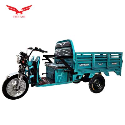 China High Speed ​​Electric Cargo Scooter 800w Electric Tricycle With Pedals Disc Brake for sale