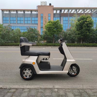 China Chongqing Tebasi Passenger Sells 48V/500W Urban Electric Tricycles And Electric Vehicles For Family Use for sale