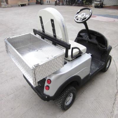 China 1 seat Mini electric Golf cart for sale