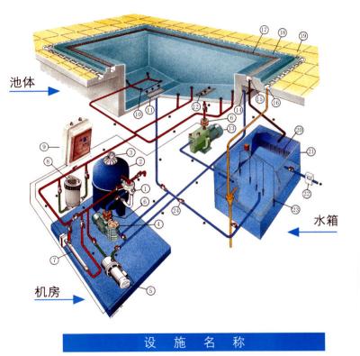 China Hot Swimming pool filter pump for sale