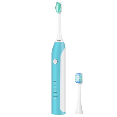 China Portable Rechargeable Products Daily Dental Hygiene Necessity Electric Toothbrush for sale