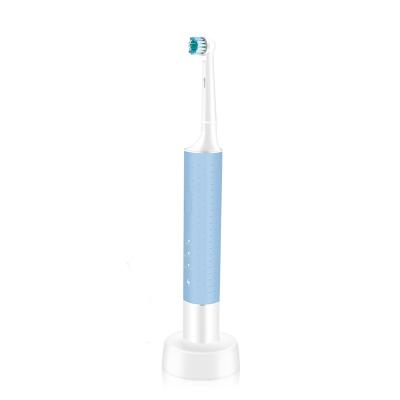 China Household Factory New Rotary Model For Children And Adult Electric Toothbrush For Children for sale