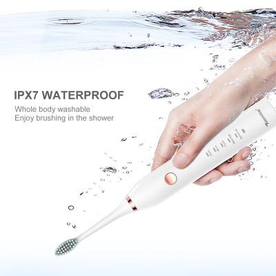 China Wholesale Rechargeable Sonic Broxodent Electric Toothbrush Teeth Whitening Machine for Home, Hotel and Travel for sale