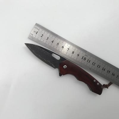 China Non-variable Portable Outdoor Fruit Knife Travel Knife for sale