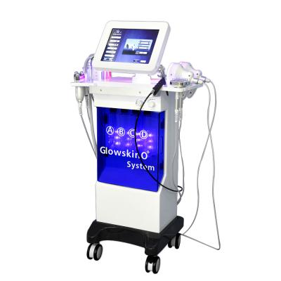 China Pigment Removal Professional 10 in 1 Hyperbaric Oxygen Therapy Equipment Pure Oxygen Facial Machine IF-825C for sale