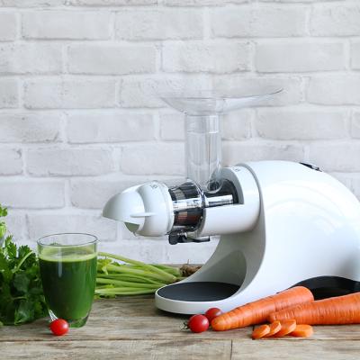 China Hotel Appearance Kitchen Appliances Stylish Electric Horizontal Low-speed Wheatgrass Tigress Juicer Machine for sale