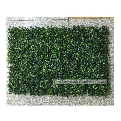 China CP036 Durable Artificial Boxwood Grass Wall Mat For Wedding Decoration for sale