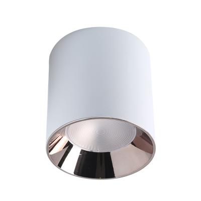 China Modern New Design Led Cylinder Ceiling Down Light With Anti-Glare for sale