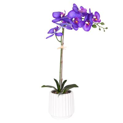 China Real Natural Touch Color Fake Phalaenopsis Orchid Plants Artificial Flowers Customizable Contact for sale