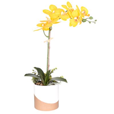 China Wedding Or Others Celebrate Indoor Event Decor Real Touch Artificial Orchid Flower Plants With Ceramic Pot for sale