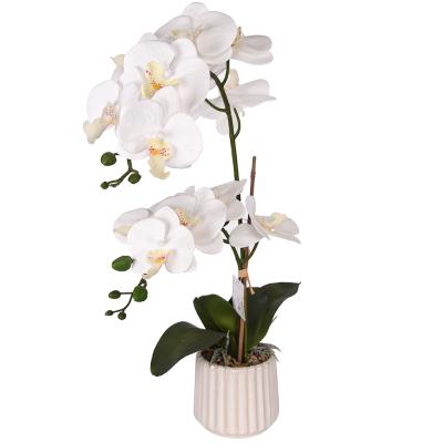 China High Quality Natural Home Decor Hotel Touch Artificial White Butterfly Orchid Phalaenopsis Bonsai Trees for sale