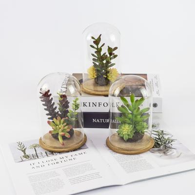 China Eco-Friendly New Mix Succulents Glass Bottle Artificial Bonsai Mini Plants For Decoration for sale