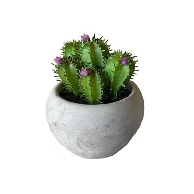 China Art Decor Wholesale Mini Home Decor Cactus Succulent Artificial Nursery Plants for sale