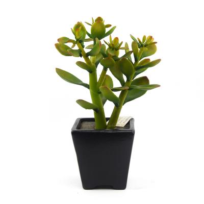 China Vivid Black Ceramic Potted Pots Indoor Decor Ornamental Green Artificial Plants Wholesale for sale