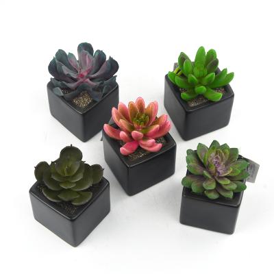 China Natural Ceramic Plant Pot Black Look Mini Plant Decoration Artificial Succulent Wholesale for sale