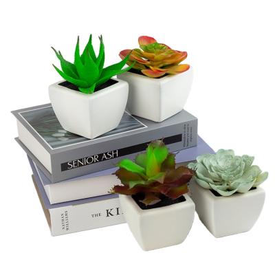 China Hot Selling Natural Look Artificial Plant Indoor Colorful Plastic Decorative Succulent Plants for sale