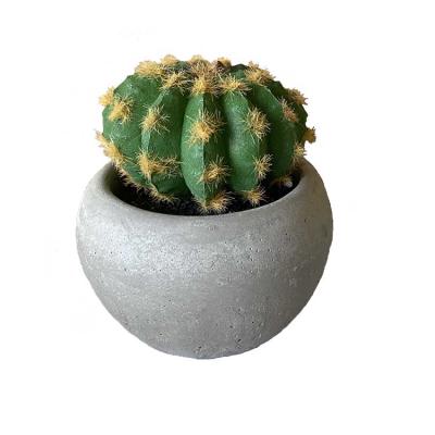 China Natural Plants Smell Greenery Indoor Decorative Small Ball Artificial Cactus Succulent Plants Potted for sale