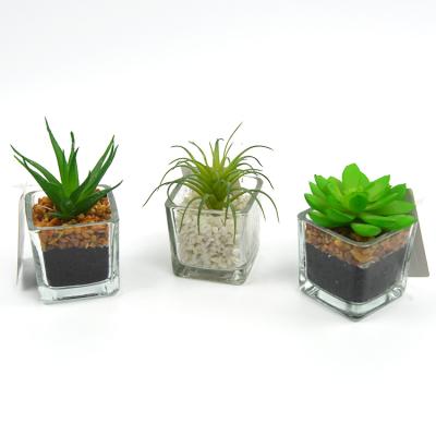 China Country Home Office Decor Mini Glass Transparent Artificial Succulents Plants For Sale for sale