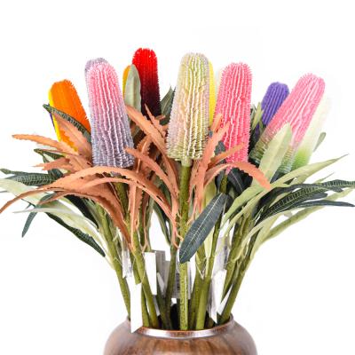 China Tropical Plants Plastic Multicolor Decor Artificial Flowers Preserved Dry Banksia for sale