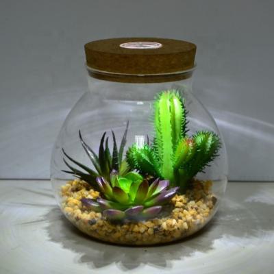 China Fashional Holiday Decoration Gifts Glass Bottle Mix Artificial Succulents Flower Potted Plants With Led Light for sale