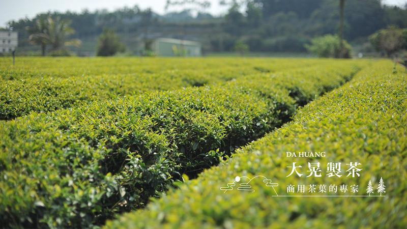 Verified China supplier - DA HUANG TEA INDUSTRIES CO., LTD.